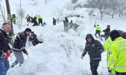 Van'ın Çatak ilçesine 24 saatte 6 çığ düştü