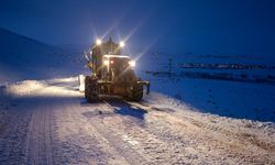 Van’da kar nedeniyle 7 ilçede 52 yerleşim yolu ulaşıma kapandı
