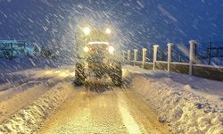 Van’da 220 yerleşim yolu ulaşıma kapalı