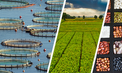 Çiftçiye 255 milyon liralık destekleme ödemesi