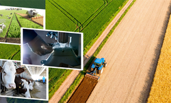 Çiftçilere yaklaşık 227 milyon liralık destek