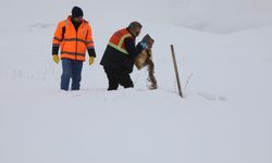 Van’da soğuk kış günlerinde yaban hayatına destek
