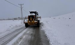 Van’da 363 yerleşim yerinin yolu kapandı