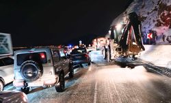 Van-Bitlis karayoluna çığ düştü: Yol kısa süreliğine ulaşıma kapandı