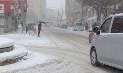 Van’da Yoğun Kar Yağışı Hayatı Olumsuz Etkiledi
