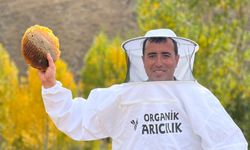 Soğuk Kış Günlerinde Doğanın Şifası: Bal