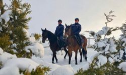 Van'da atlı jandarmadan kış nöbeti