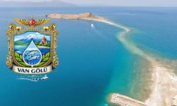 Van Gölü için yönetim çağrısı: Alan Başkanlığı talebi gündemde