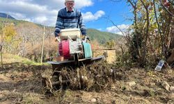 82 yaşındaki yeminli mali müşavirden köy hayatına örnek proje