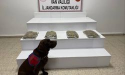 Van'da uyuşturucu operasyonu!