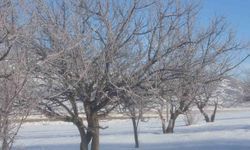 Van’da Sibirya soğukları etkili oluyor