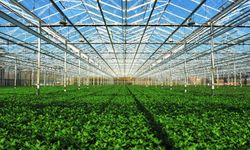 Van’da tarım ve istihdamı büyütecek Sera OSB hamlesi