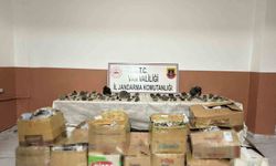 Van’da bin 410 adet epidotlu kuvars taşı ele geçirildi