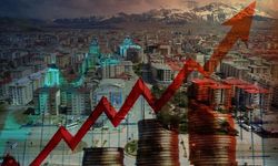 "Van Ekonomisi Yapısal Sorunlarla Karşı Karşıya"