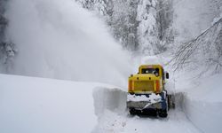 Doğuda kar esareti: Ulaşım felç