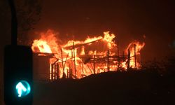 Şili'de Orman Yangını:18 Ölü