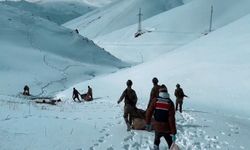 Van ve Hakkâri’de 406 kilogram uyuşturucu ele geçirildi