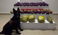 Van Başkale’de 31 kilo uyuşturucu ele geçirildi