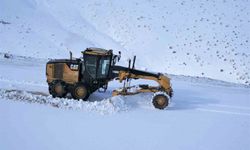 Van’da 143 yerleşim yerinin yolu kapalı: Kar ve çığ tehlikesi sürüyor