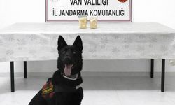 Van'ın Başkale ilçesinde 510 gram eroinle yakalandı