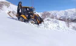 Van’da kar yağışı sonrası 78 yerleşim yerinin yolu kapalı