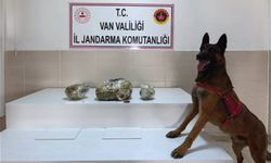 Van’da bir ayda 224 kilo uyuşturucu ele geçirildi