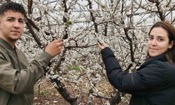 Türkiye kar altındayken Silifke’de erik ağaçları çiçek açtı