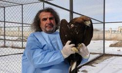 Van YYÜ yırtıcı kuşların şifa merkezi oldu