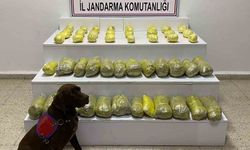 Van'da uyuşturucu operasyonu!
