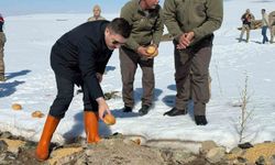 Van’ın Özalp ilçesinde doğaya yem bırakıldı