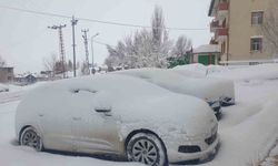 Van Başkale’de araçlar kara gömüldü