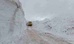 Türkiye-İran sınır hattında karla mücadele