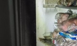 Van'ın Edremit ilçesinde ev yangını