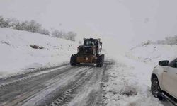 Van’da 76 yerleşim yerinin yolu kar nedeniyle kapalı