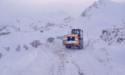 Van’da kış şartları ulaşımı zorlaştırıyor: 53 yerleşim yerinin yolu kapalı
