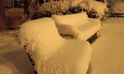 Van beyaza büründü: Kar yağışı hayatı durma noktasına getirdi