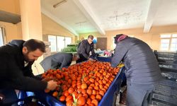 Van’da seyyar satıcılara müdahale edildi