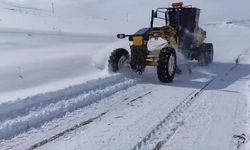 Van’da kar yağışı ulaşımı aksattı: 29 yerleşim yolu kapalı