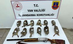 Van'da keklik avlayan kişiye 81 bin TL ceza