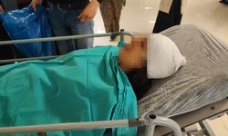 Sokak Köpeklerinin Saldırısına Uğrayan Genç Kız Yaralandı