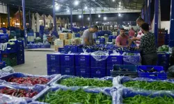 Van Sebze Hali’nde fiyatlar güncellendi