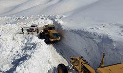 Van’ın Bahçesaray İlçesinde Karla Mücadele