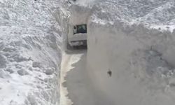 Başkale’de Çığ Felaketi: Sualtı Mahallesi’ne Ulaşım Zorla Sağlanıyor