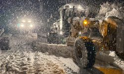 Van kent merkezindeki karla mücadele çalışmaları geceden başladı