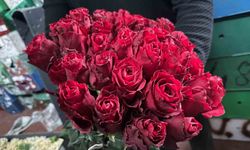 İthal Güller Yerli Gülleri Geride Bırakıyor