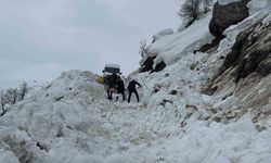Hakkâri’de Çığ Faciası!