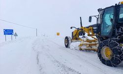 Van’da yolu kapalı olan 25 yerleşim yerine ulaşılmaya çalışılıyor