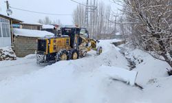Van’da 141 yerleşim yerinin yolu kapalı