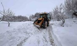 Van’da 8 ilçede 101 yerleşim yolu kapalı