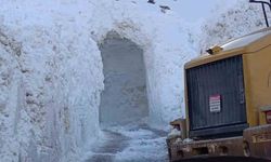 Van’da Çığ Nedeniyle Kapanan Yol, Kar Tüneli ile Yeniden Açıldı